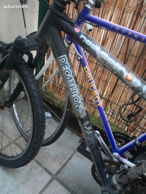 Vélo Normal (image 1)
