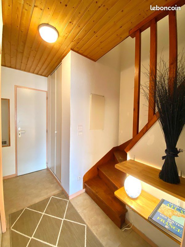 Duplex vue panoramique sur la vallée de Luz-Saint-Sauveur (image 8)