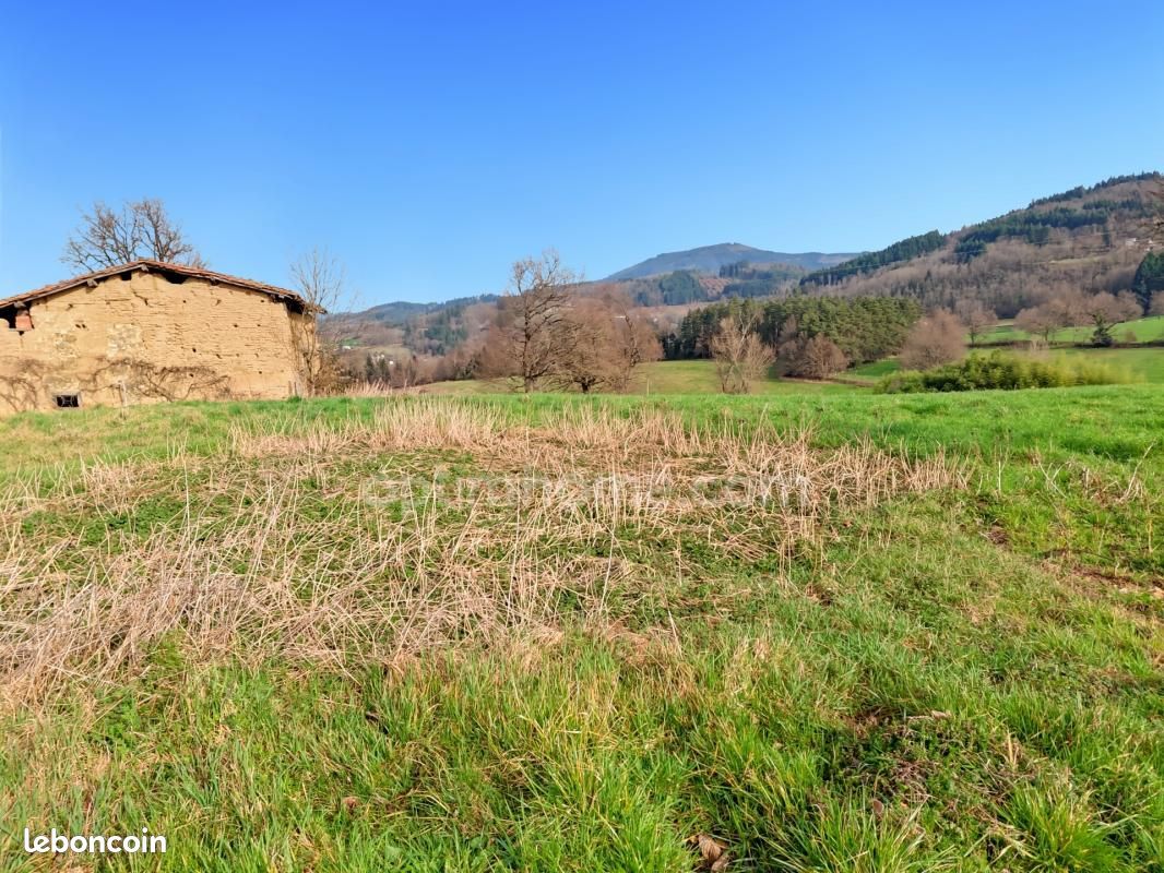Terrain 2 975 m² Augerolles (image 8)