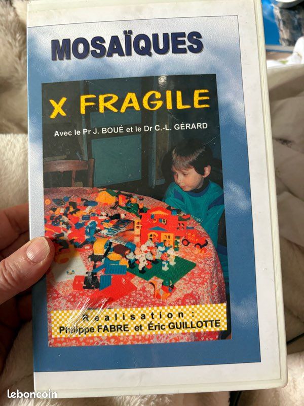 VHS : X Fragile. Philippe Fabre, Éric Guillotte. Mosaïque, 1998. NEUF (image 1)