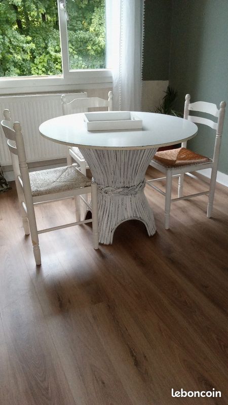 Table + chaises (image 1)