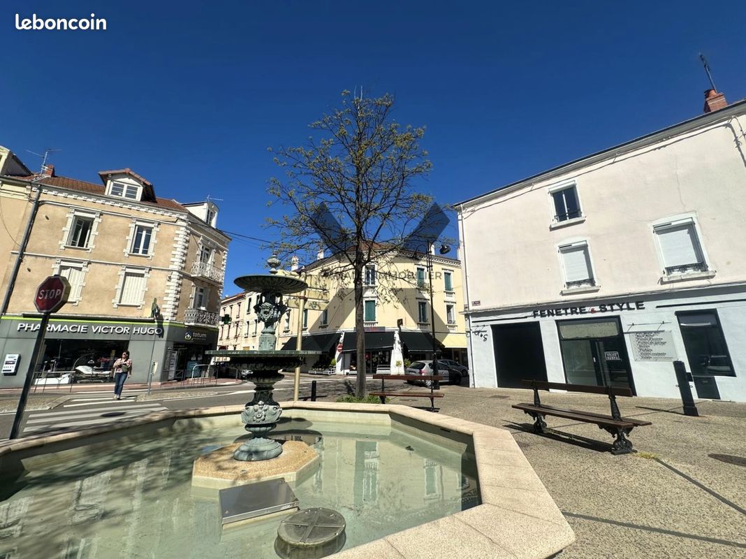 Immeuble 20 pièces 250 m² · à Roanne · 250 m² · 230 000 €