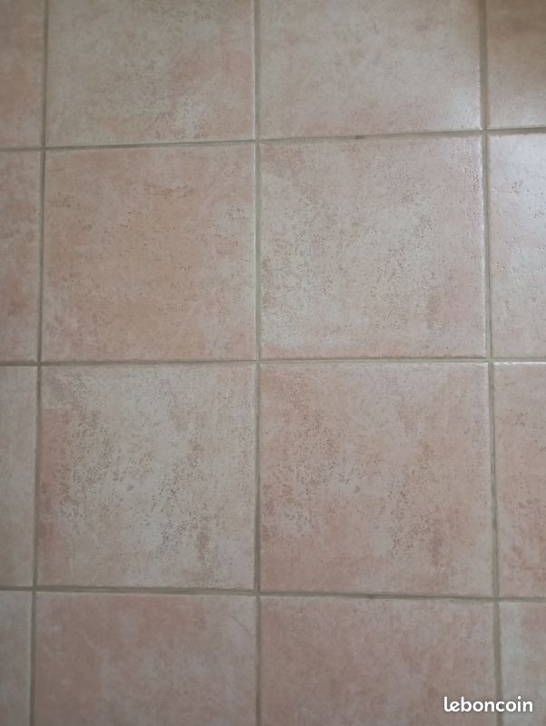 Carrelage (image 1)