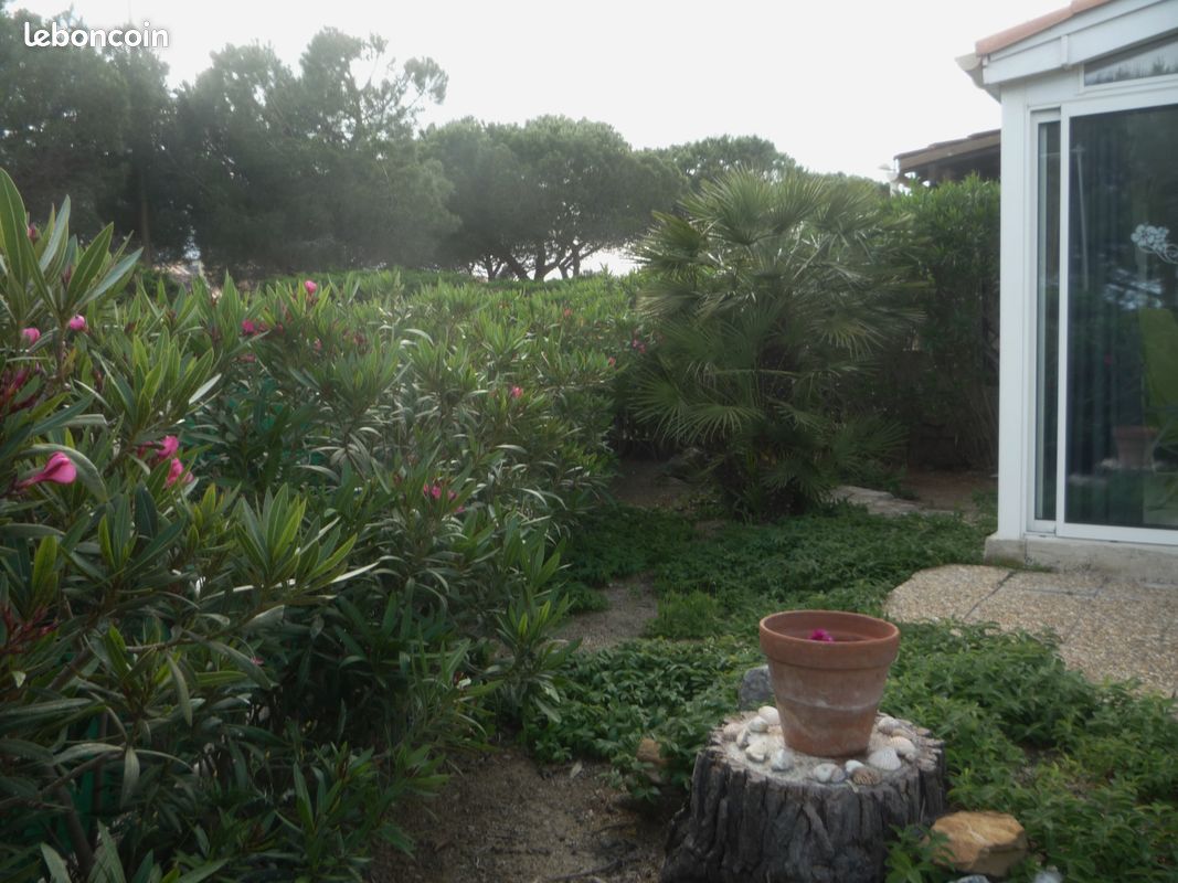 Maison dans résidence pour 6 personnes (image 15)