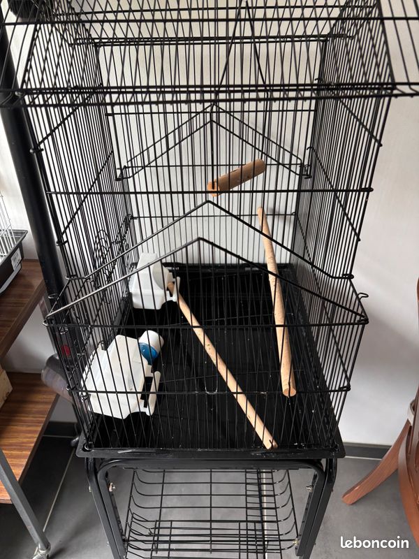Cage de canari (image 1)