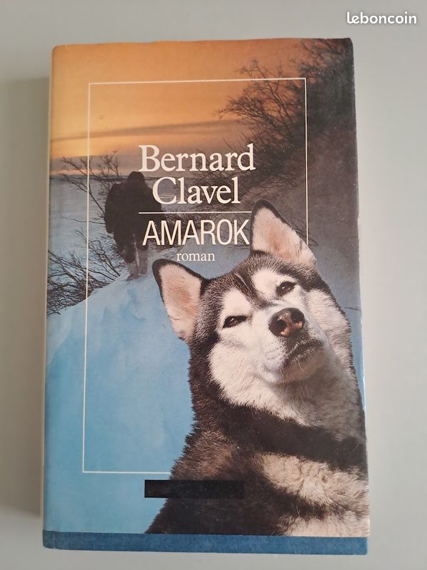 Amarok… Le Royaume du Nord (image 1)