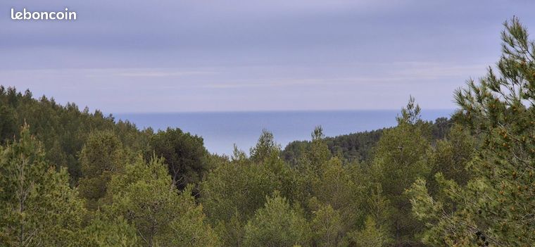 Terrain 47 852 m² Ceyreste
