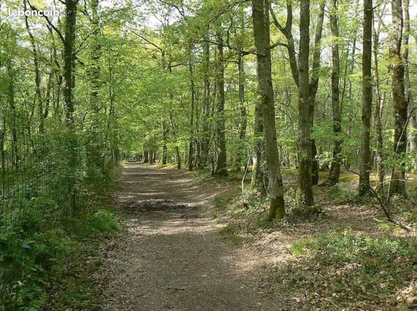 Maison 4 chambres centre village proche forêt Barbizon (image 16)