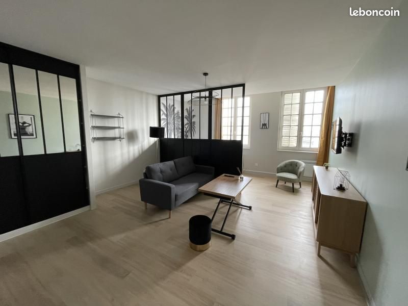 Appartement 1 pièce 38 m² - Limoges 87000 (image principale 2)