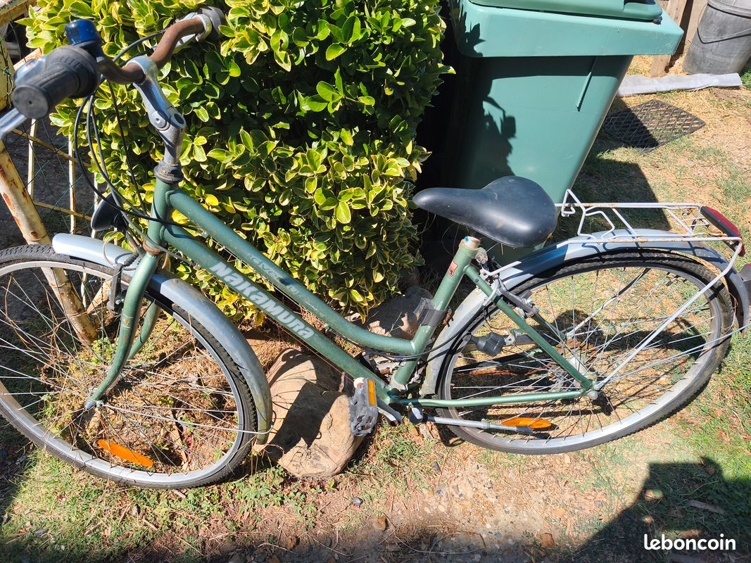 Vélo dame (image 1)