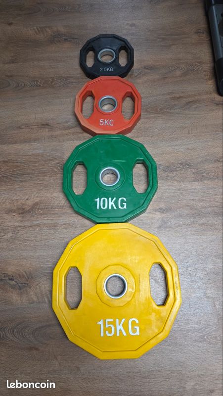 Poids Olympique BFCO - 2 X 10 Lbs (environ 2 X 4,5 Kg) - Ancien - Occasion