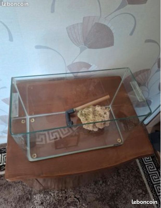 Aquarium 20litre (image 1)