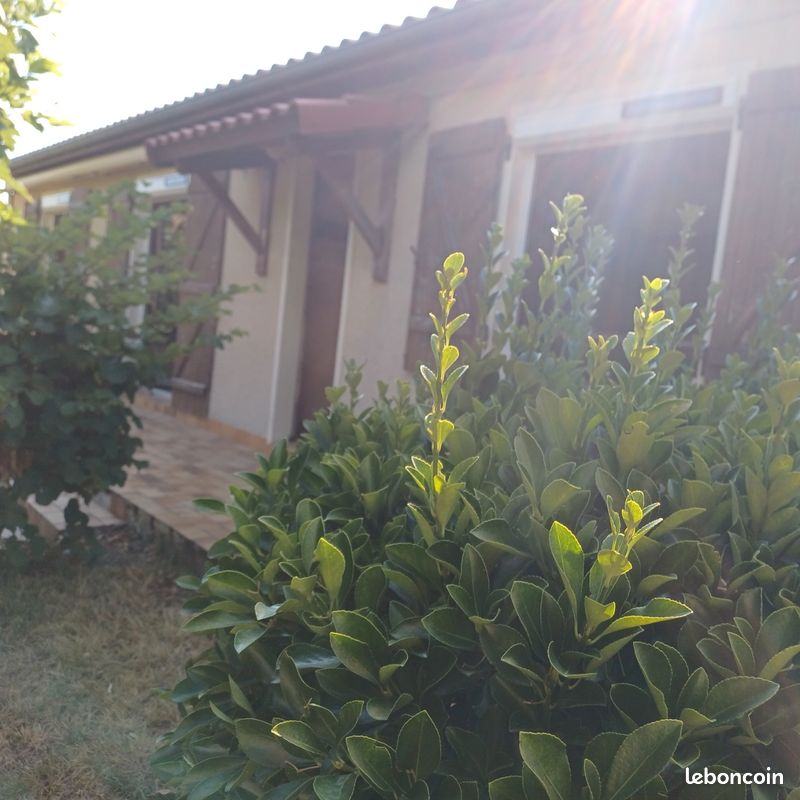 Maison 5 pièces 120 m² · à Revel · 120 m² · 900 €