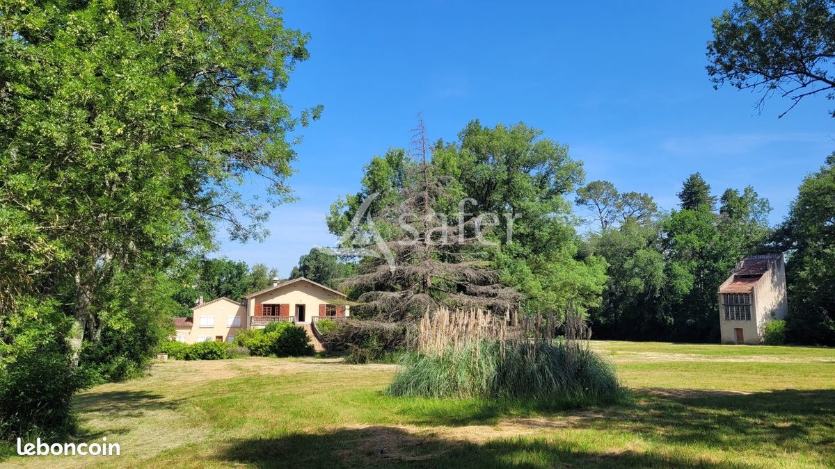 Propriété 290 m² Castres (image 1)
