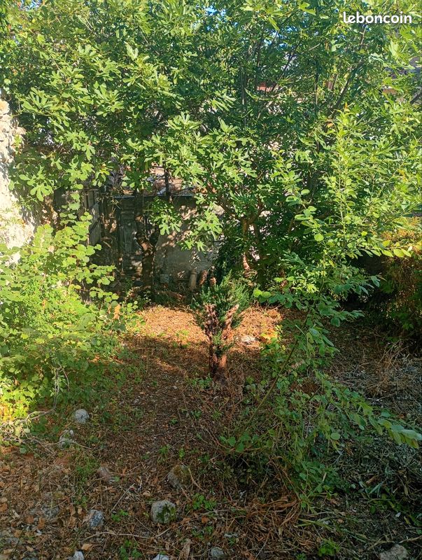 Maison 6 pièces 180 m² · à Lavelanet · 180 m² · 50 000 €