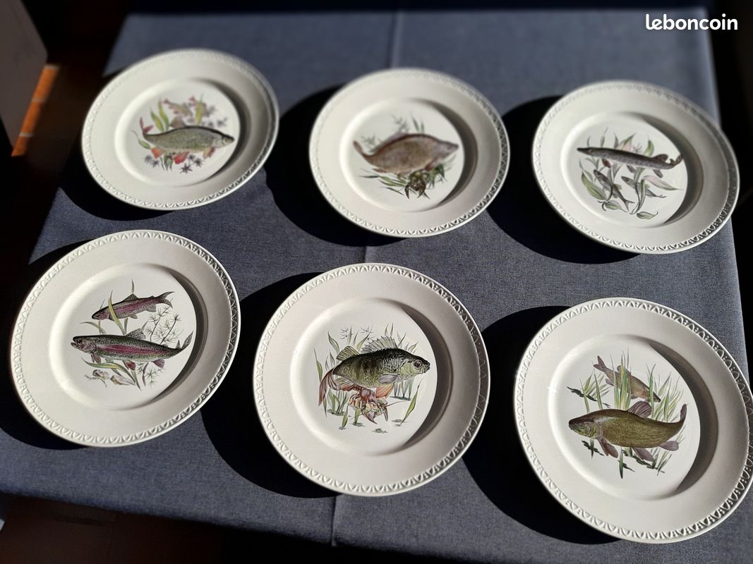 Plat à Poisson VIVO Villeroy & Boch 42 Cm - Grès, Lavable Au Lave-vaisselle, Neuf