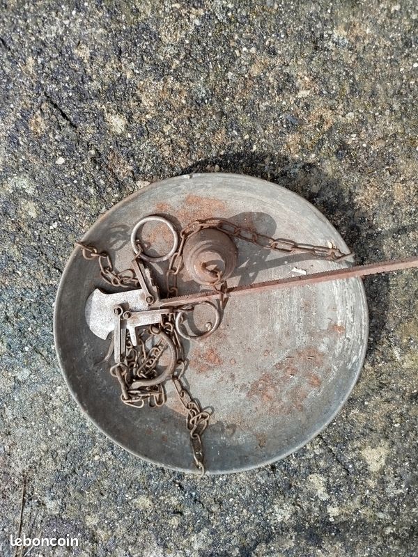 Balance (image 1)