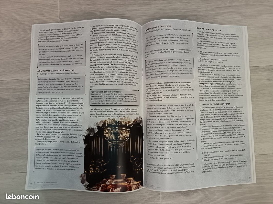 Le livre de Strahd interactif - DnD (image 3)