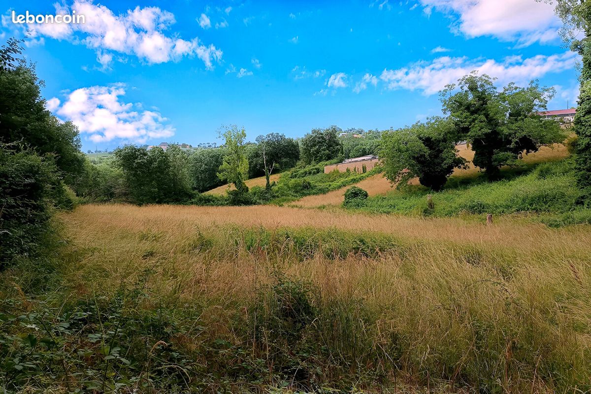 Terrain 4217 m² · à Mirandol-Bourgnounac · 4 217 m² · 46 500 €