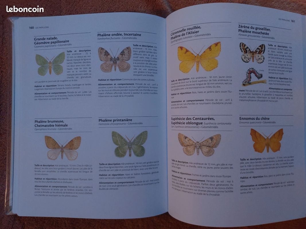 Le guide marabout de la nature (image 5)