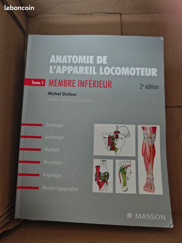 Livre d'Anatomie Michel Dufour (image 3)