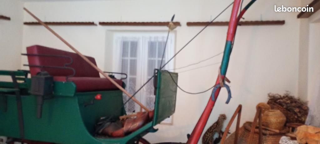 Calèche wagonnette loisir 6 places finition bois vernis