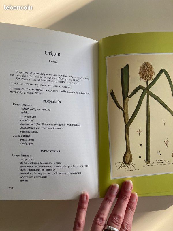 Valent, l’aromathérapie: traitement des maladies par les essences et les plantes (image 2)