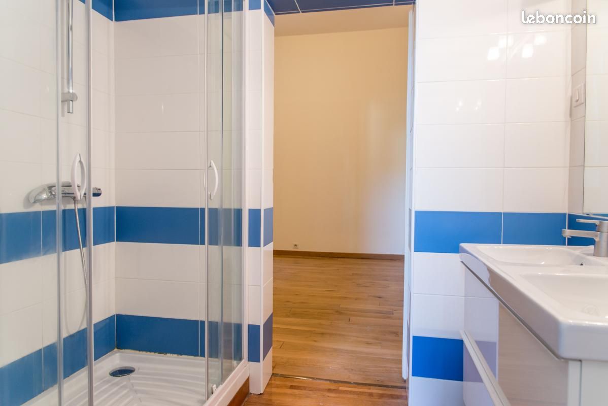 Appartement 7 pièces 234 m² (image 5)