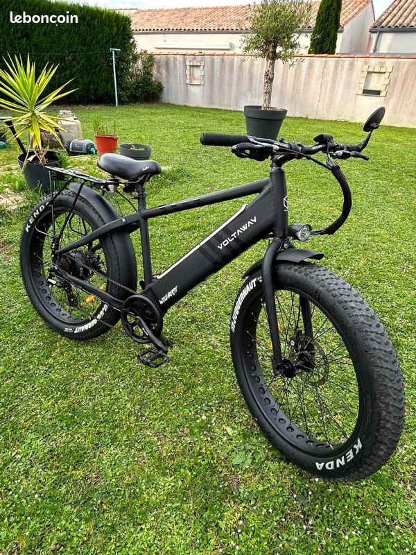 Wildbeast vélo électrique (image 1)