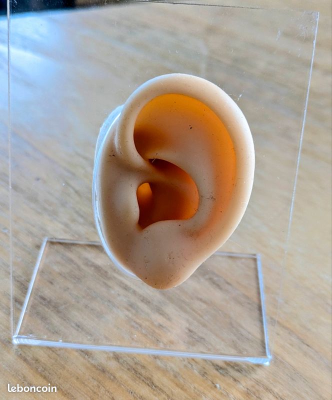 Porte Boucles D'oreilles, 5 Niveaux Présentoir à Boucles D'oreilles Avec Ferme Et Stable Base En Bois, JOENCOST Organisateur De Porte-bijoux Pour Organiser Bracelet Boucles D'oreilles Bagues (Blanche