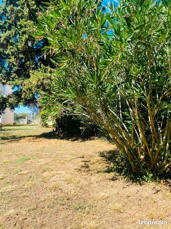 Vend terrain à batir 210m² Grenade proche centre · 85 000 €