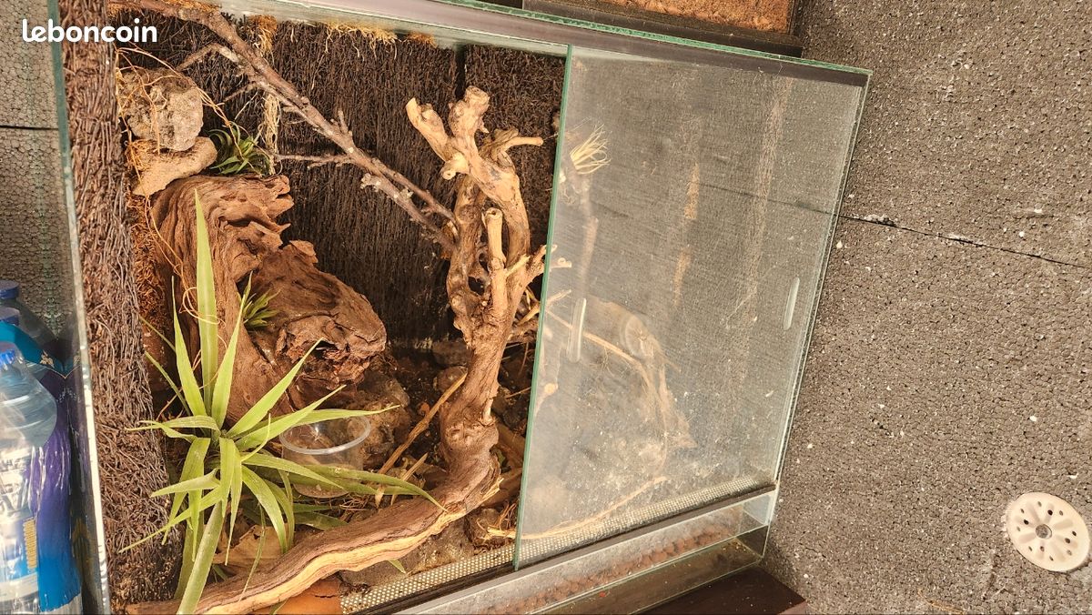 Terrarium/Vivarium (image 3)