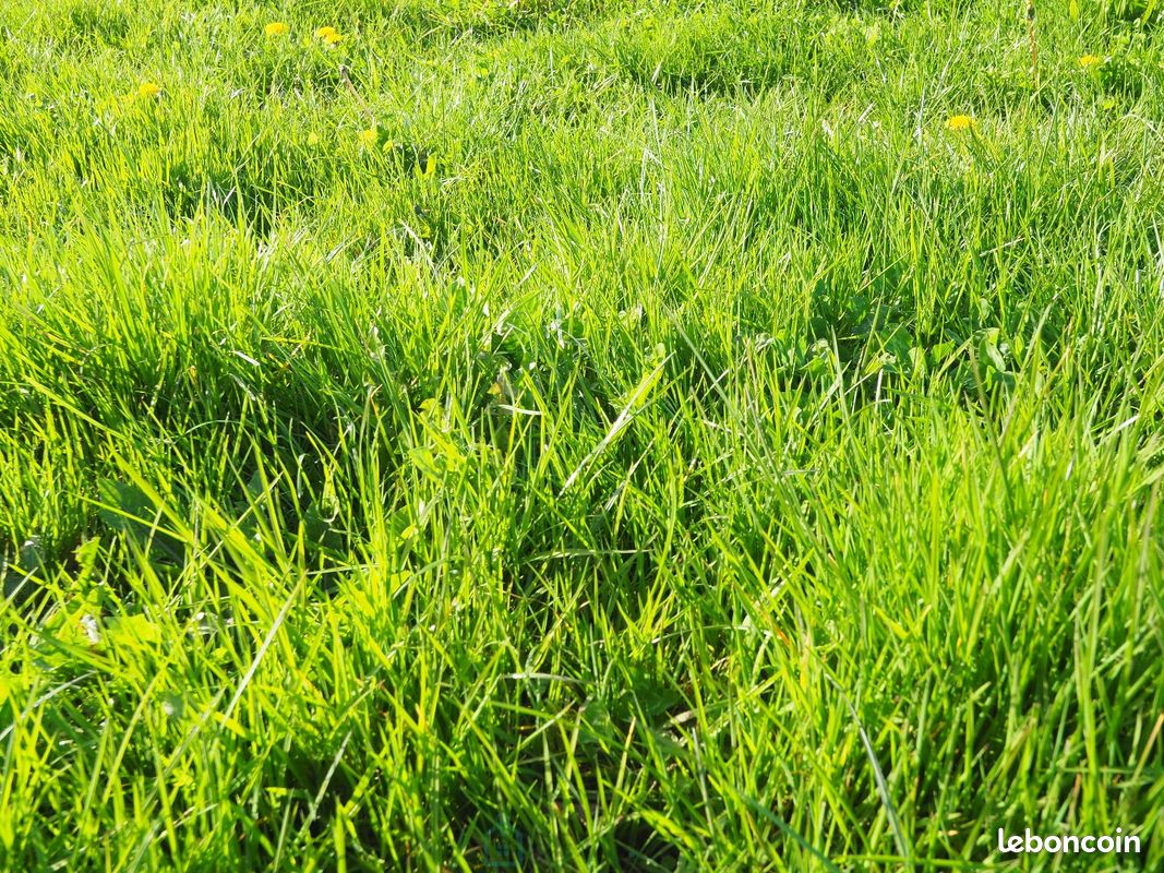Terrain 860 m² GROIX · 289 800 €