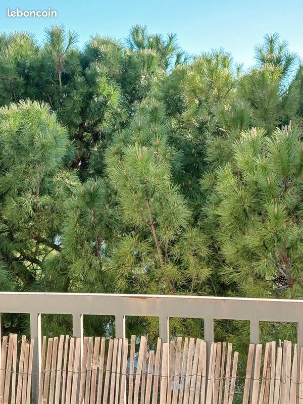 Appartement 4 pièces 82 m²