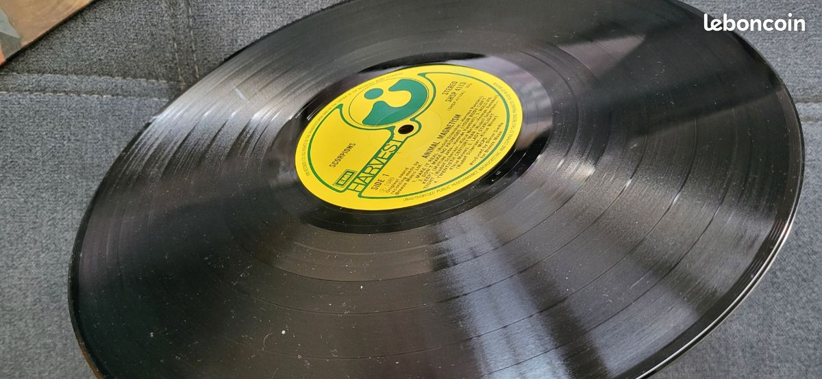 Vinyle scorpion animals magnétisme (image 4)