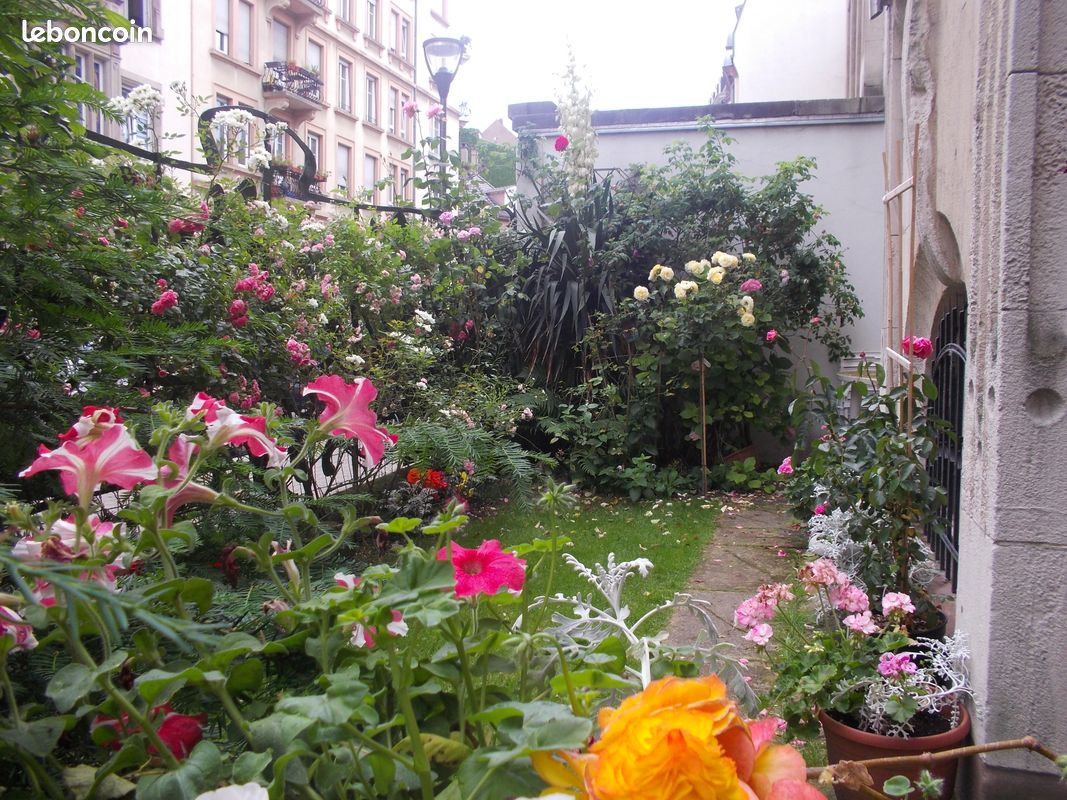 Appartement 1 pièce 15 m² · à Strasbourg · 15 m² · 243 €