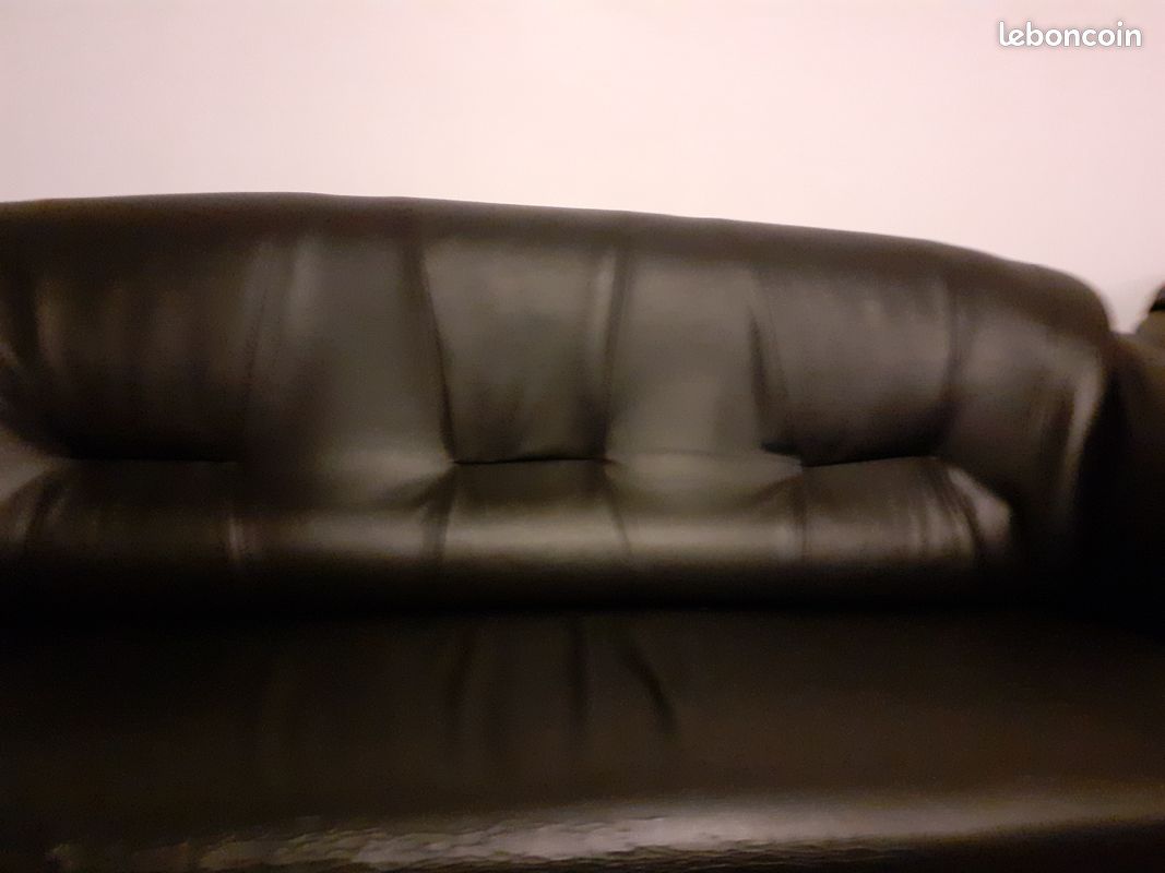 Fauteuils en cuirs (image 2)