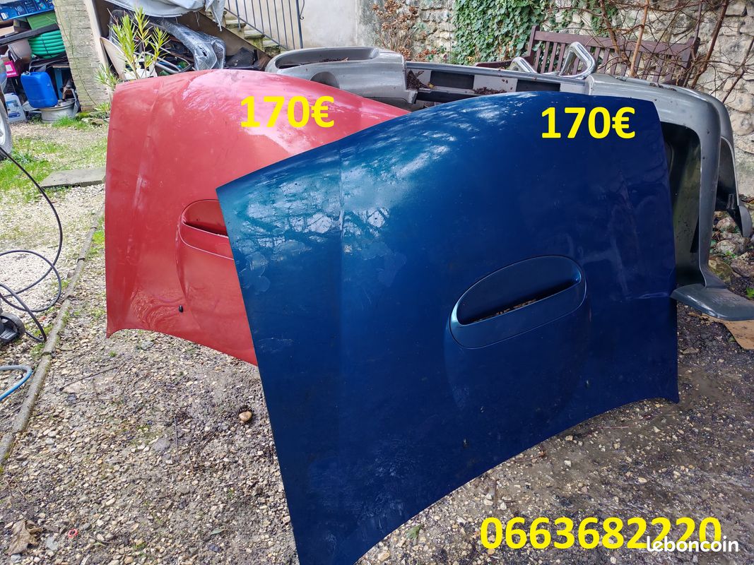 Capot Terrano Ford Maverick (image 2)