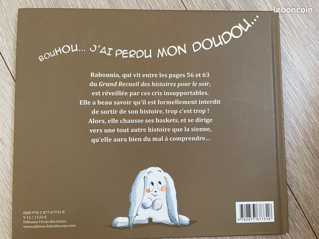 Livre la sorcière rabounia neuf (image 2)