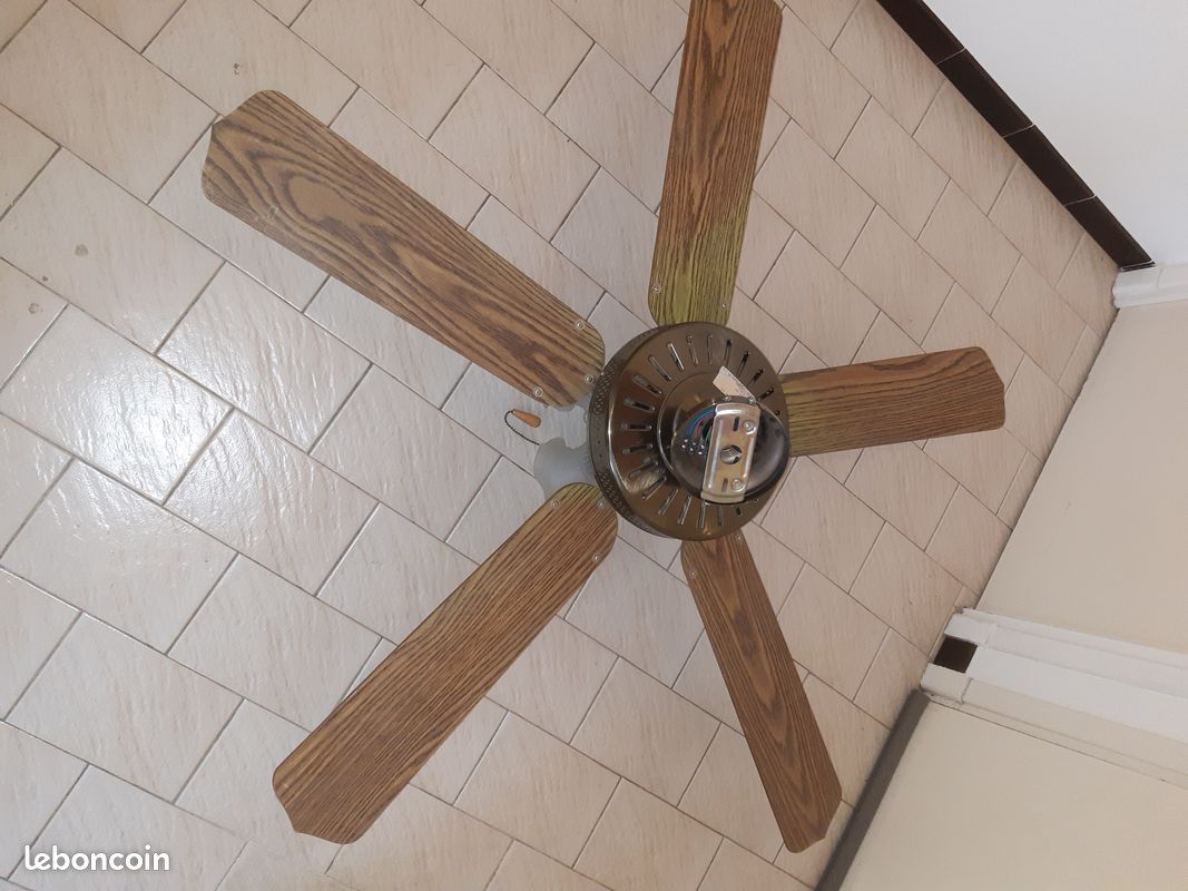 Ventilateur plafond ete hiver (image 2)
