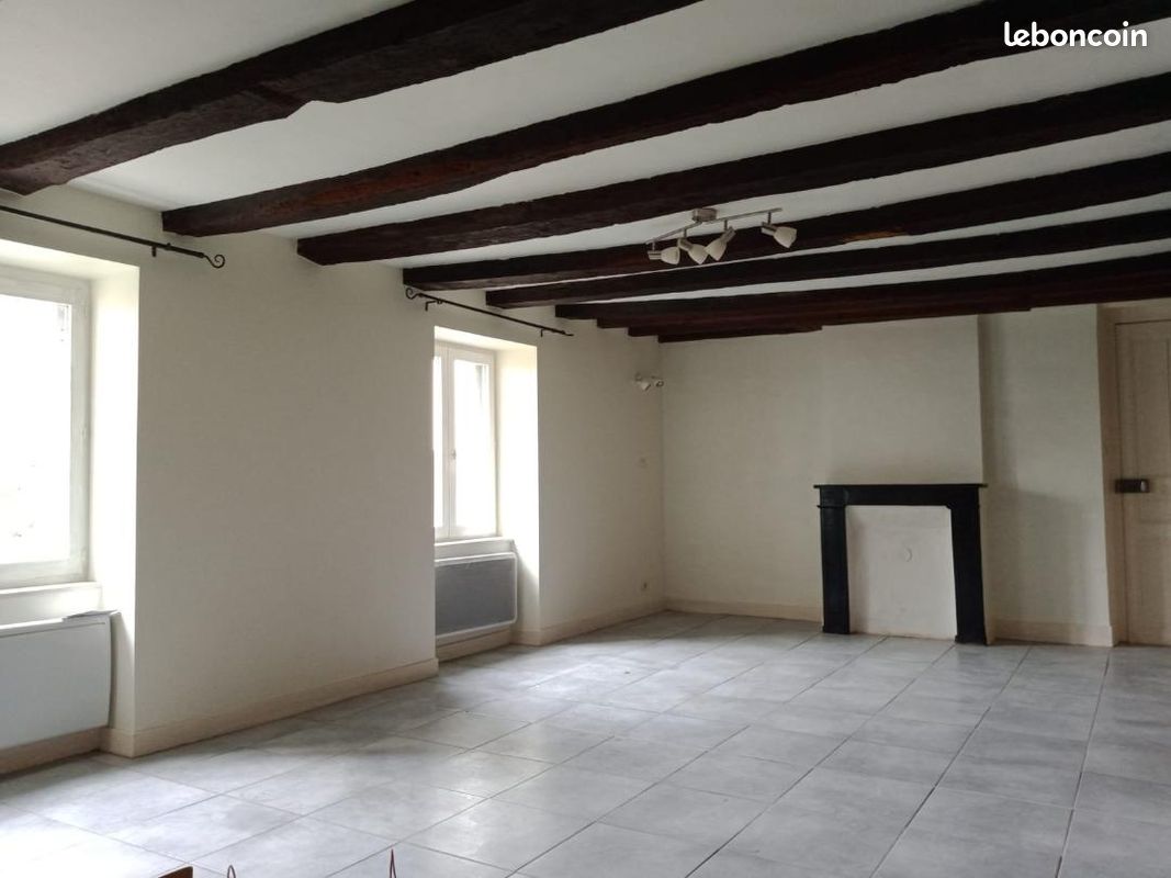 Appartement a louer vierzon - 1 pièce(s) - 44 m2 - Surfyn