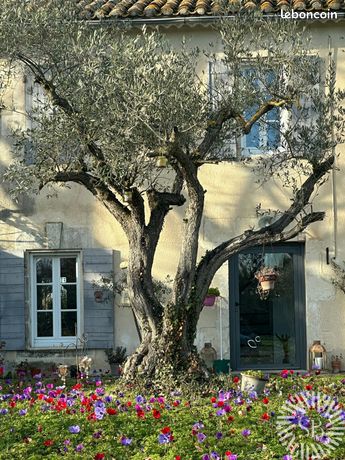 Mas 7 pièces 255 m²