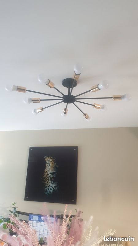 Lustre (image 1)