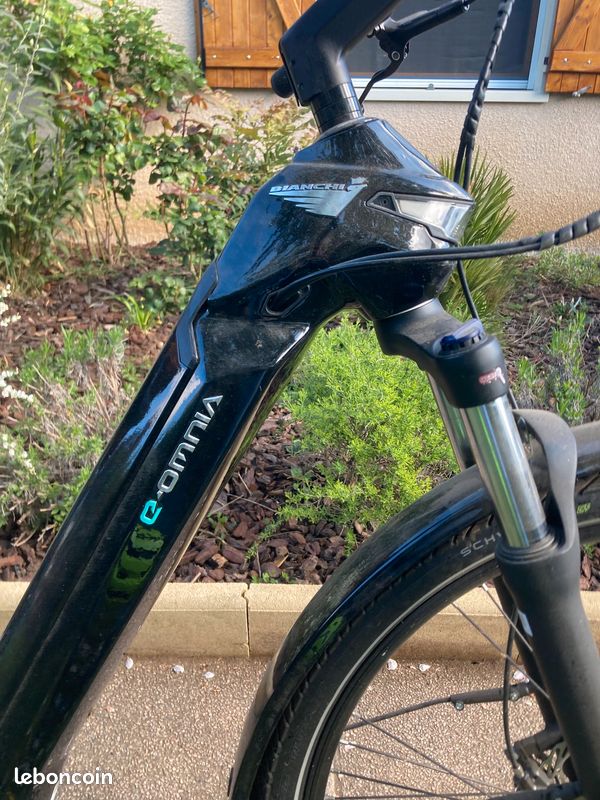 Bianchi E-Omnia C Type Vélo électrique Cadre taille L 175cm-184cm (image 3)