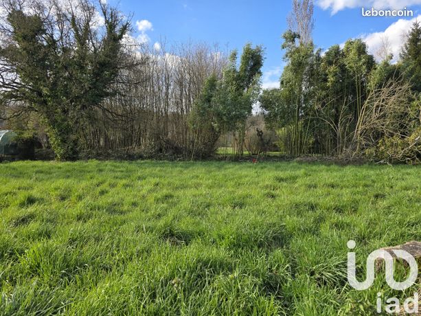 Terrain 1860 m² Mornac