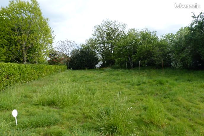 Terrain constructible