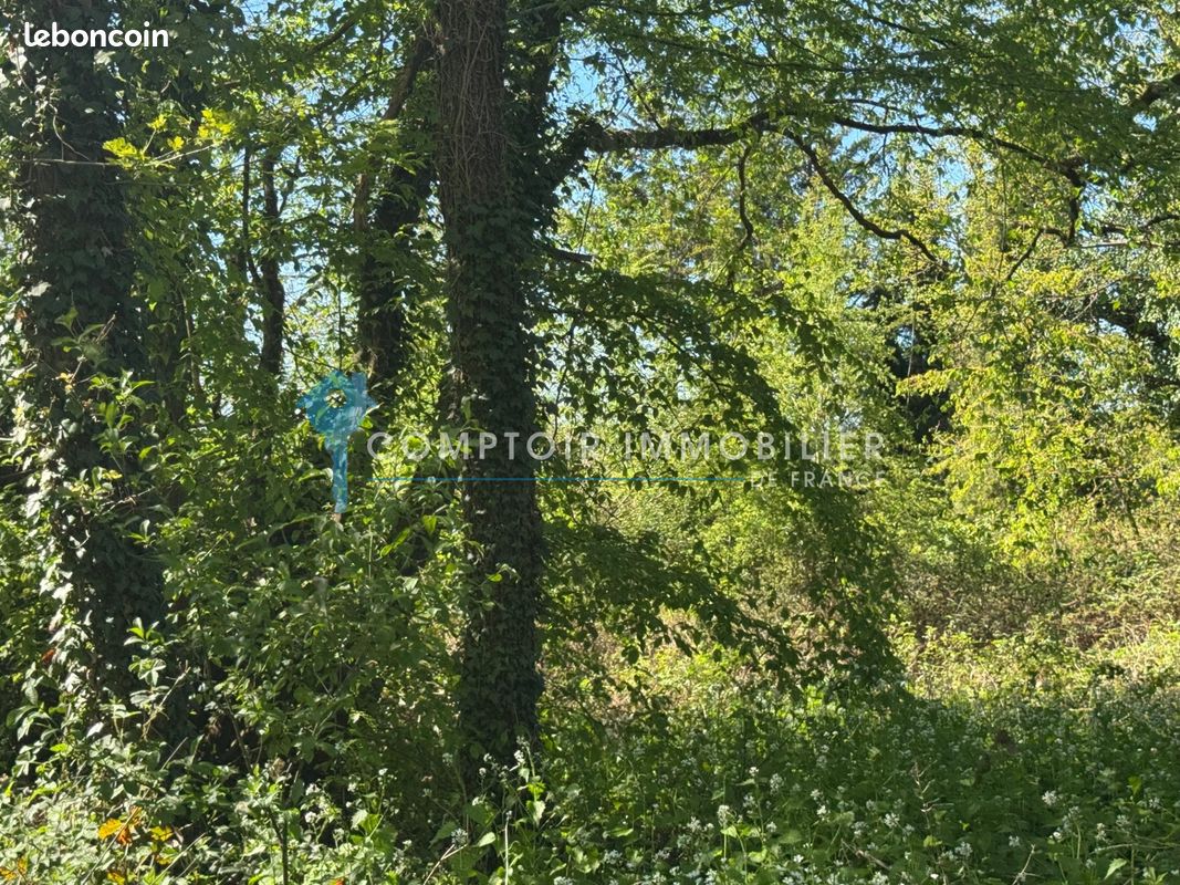 Terrain 6080 m² · à Soisy-sur-École · 6 080 m² · 36 000 €