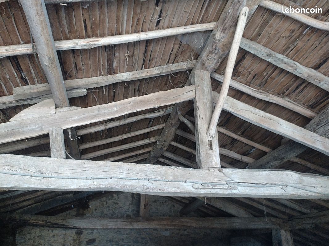 Bois charpente (image 1)