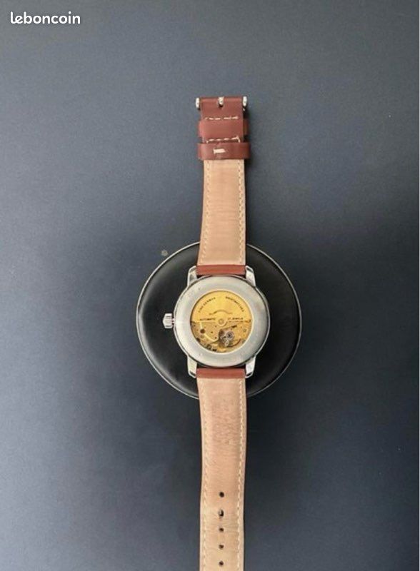 Montres automatiques Zeppelin (image 2)