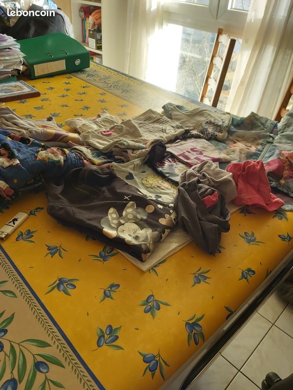 Vêtements fille 3/4 ans (image 1)